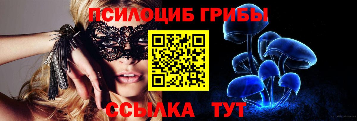 закладка  Вход с VPN  Изобильный  Галлюциногенные грибы Magic Shrooms 